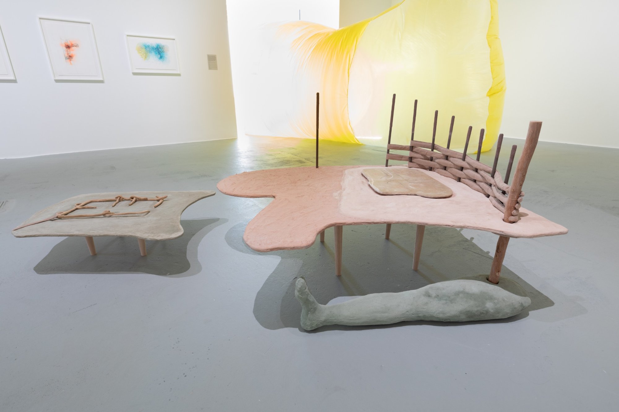 Fossa — image 5