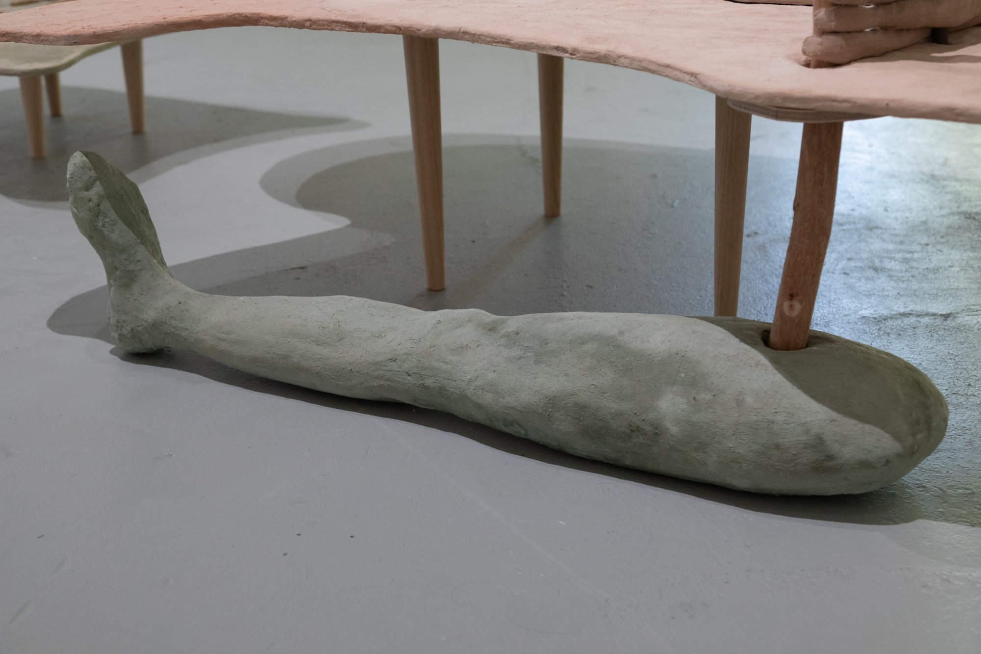 Fossa — image 2